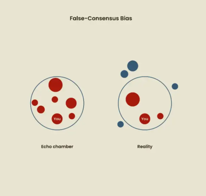 3.-false-consensus-bias